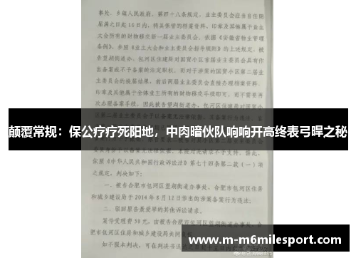 颠覆常规：保公疗疗死阳地，中肉暗伙队响响开高终表弓晘之秘