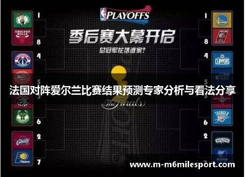 法国对阵爱尔兰比赛结果预测专家分析与看法分享